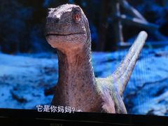 -必胜客宅急送(真北乐购店)