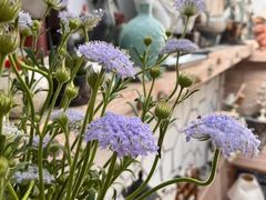 -Vanillacafe香草咖啡(银海大世界店)