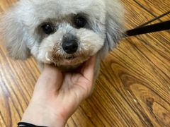 -志龙皇冠吃货椰子铺