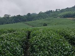 -优游吧斯邹族文化部落