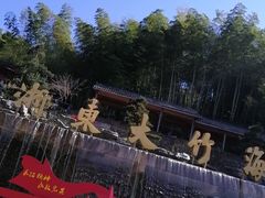 -宁波浙东大竹海景区