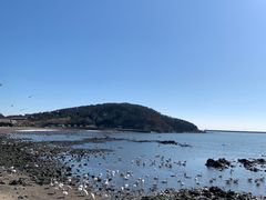 -烟墩角天鹅湖