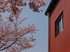 -永乐路-路侧停车场