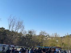 -棒棰岛宾馆景区