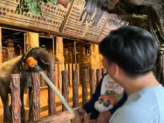 -长鹿旅游休博园