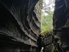 -梭布垭石林景区