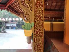 -西双版纳傣族园