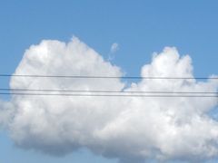 -屋里家延边朝鲜族冷面(梅林3店)