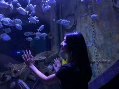 -成都浩海立方海洋公园