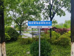 -黄海国家森林公园