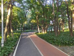 -长春市南湖公园