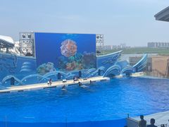 -上海海昌海洋公园