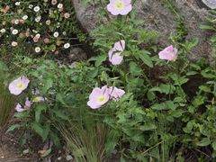 -宁波儿童公园(鄞州区)