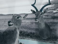 -郑州自然博物馆(惠济区)