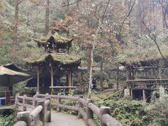 -青城山