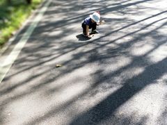 -合肥滨湖国家森林公园