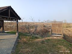 -同里国家湿地公园