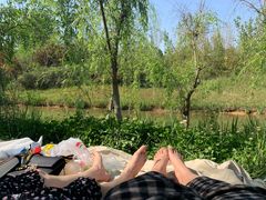 -白鹭湾湿地公园