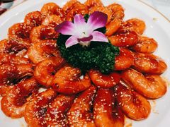 -海派美食·家宴海鲜青岛菜·石锅鲽鱼头(东方城店)