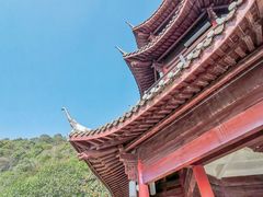 -杭州半山国家森林公园