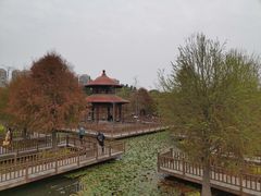 -五缘湾湿地公园