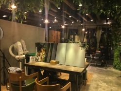 -V-STAR威斯达•高级私人定制