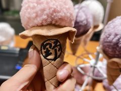 -野人先生Gelato(上海长宁龙之梦店)