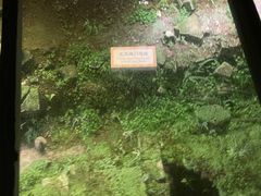 -东关历史文化旅游区-东门遗址