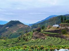-杨家堂村