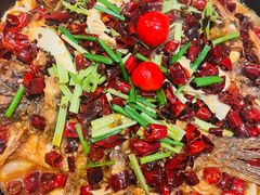 -老板恋上鱼(恒隆广场店)