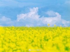 -集草轩·重庆麻辣烤鱼(西湖道店)