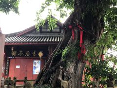 -黄龙溪古镇