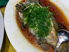 东星斑-盛港湾海鲜食府(黄沙店)