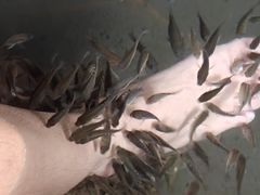 -凤翔首邑温泉度假村