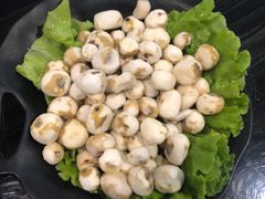 -东椰·海南椰子鸡火锅(朝阳门店)