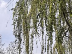 -成飞公园