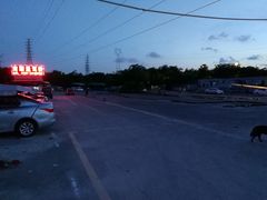 -（南顺通驾校）东方大道店
