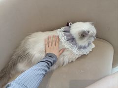 -怪兽屋·羊驼·猫咖·狗咖(俊华广场店)