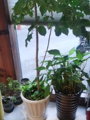 -香秀空间科技抗衰·美容中心