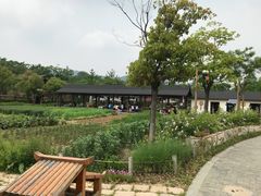 -石塘人家