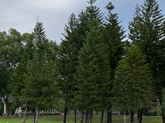 -福建鲤鱼洲酒店