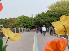 -顺峰山公园