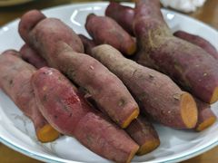 -遇龙河大樟树农家乐