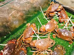 -盒马鲜生(曜一城店)