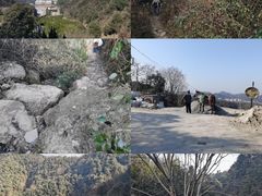 -午潮山国家森林公园