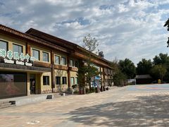 -南宫五洲植物乐园