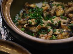 -红星光发煲仔饭(文海店)