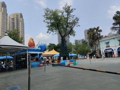 -海合安成都极地海洋公园