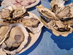 -千岛蚝高压锅生蚝·人参火锅(白云万达店)