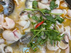 -大鼎石锅鱼(春江里店)